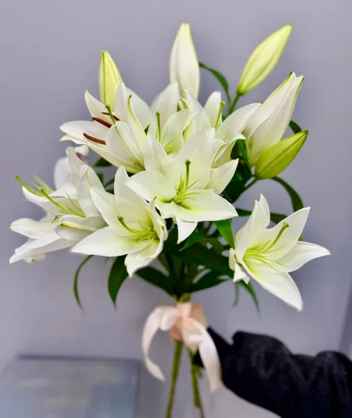Букет из белых лилий под ленту