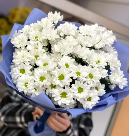 Ромашка в небе