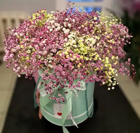 Элегантные моменты