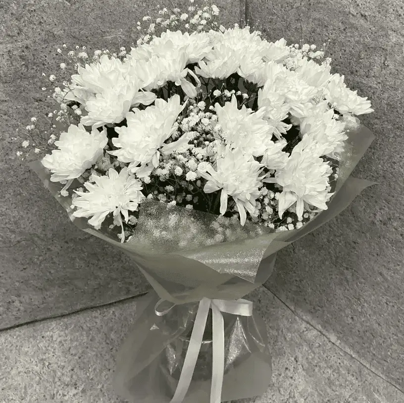 Пышное облачко