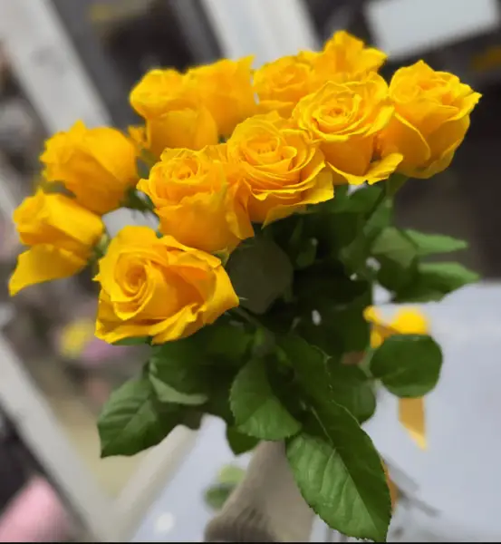 Букет из 11 желтых роз под ленту