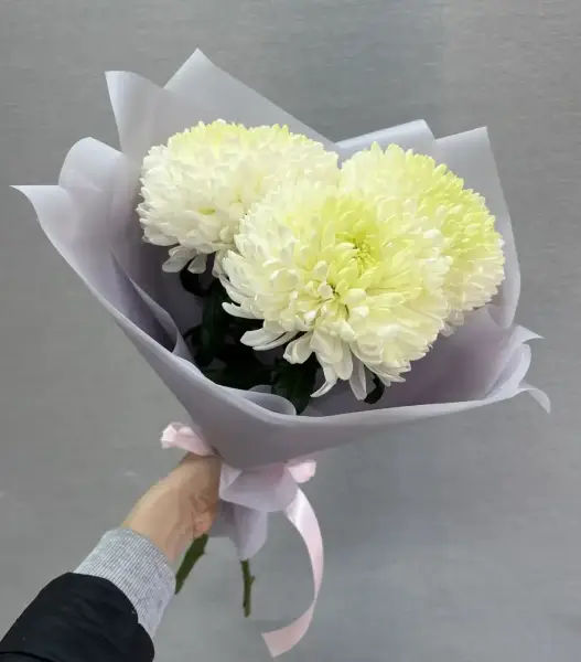 Сдержанная элегантность