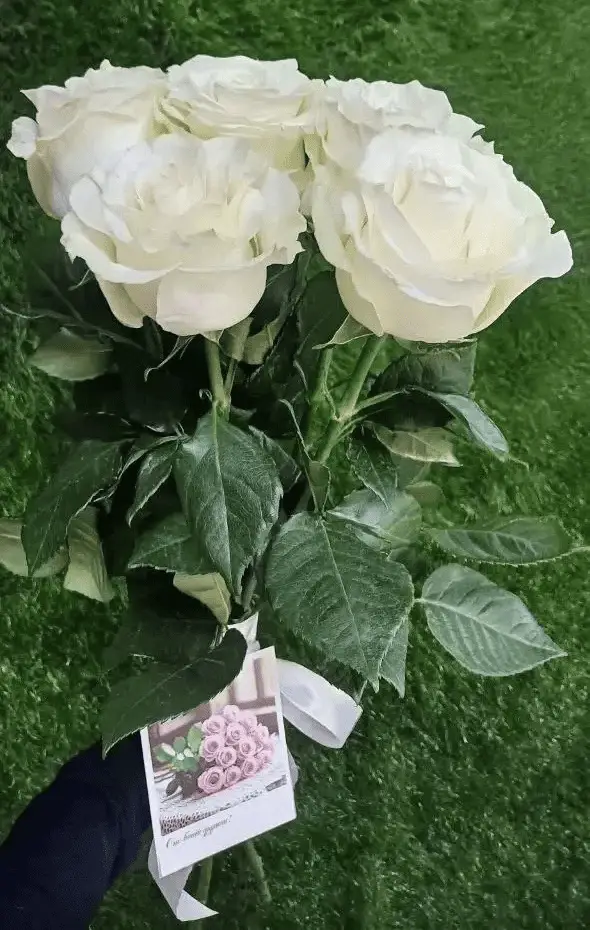 Букет из 5 белых роз под ленту