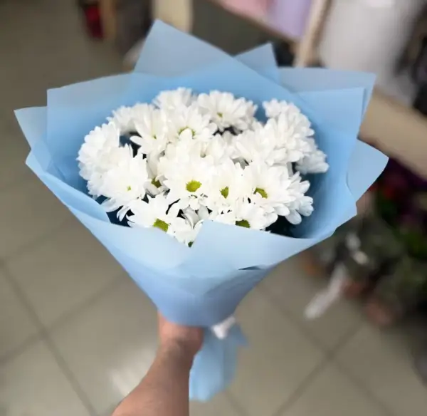 Лёгкость неба