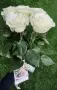 Букет из 5 белых роз под ленту