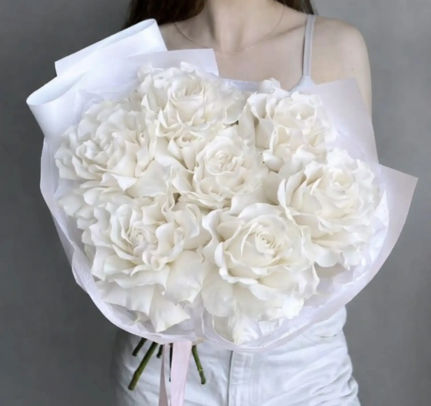 Парижская чистота