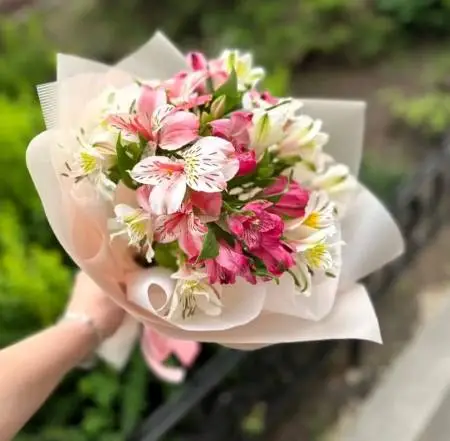 Букет из 7 бело-розовых альстромерий